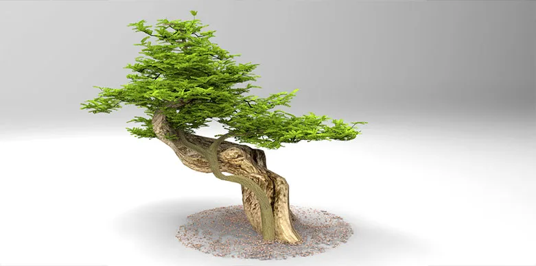 African tree 3D render, angle 1