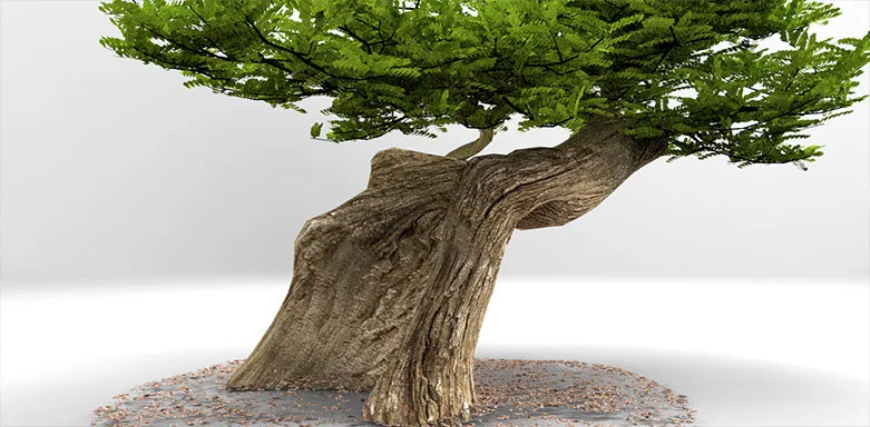 African tree 3D render, angle 2