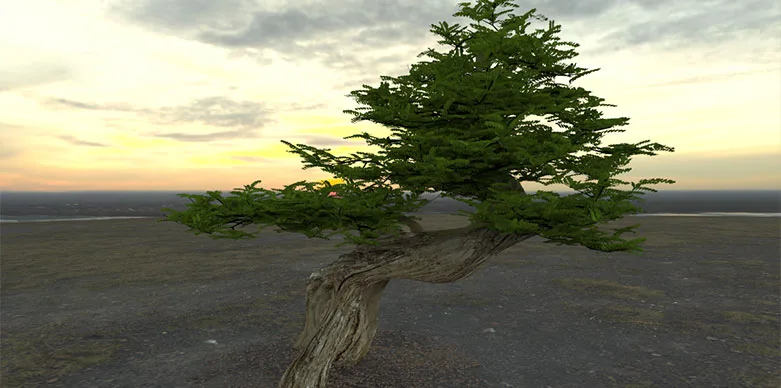 African tree 3D render
